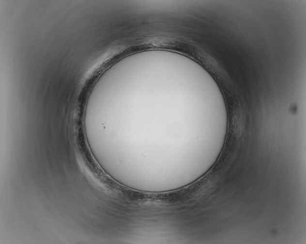 X0000116290730200912211840