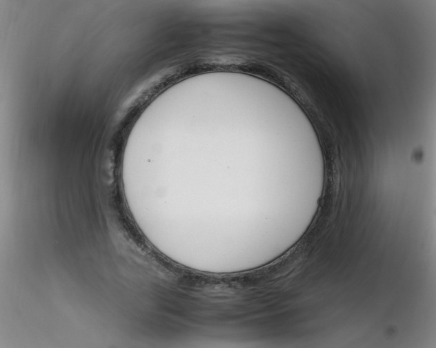 X0000116290731200912211840