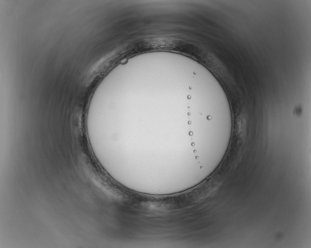 X0000116290733200912211840