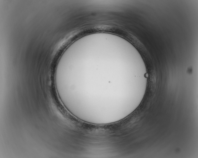 X0000116290734200912211840