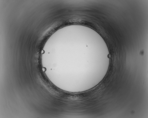 X0000116290735200912211840