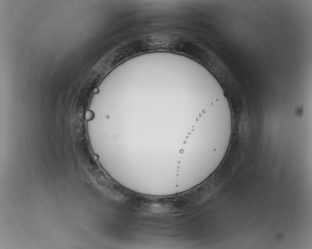 X0000116290737200912211840