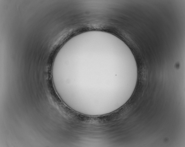 X0000116290738200912211840