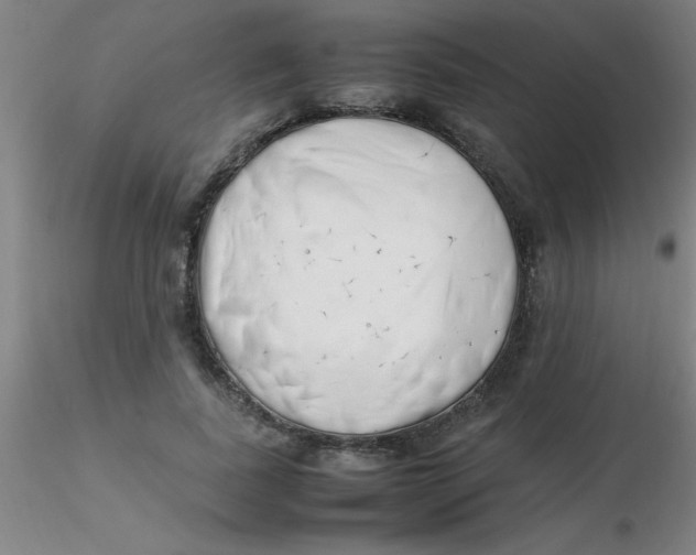 X0000116290739200912211840