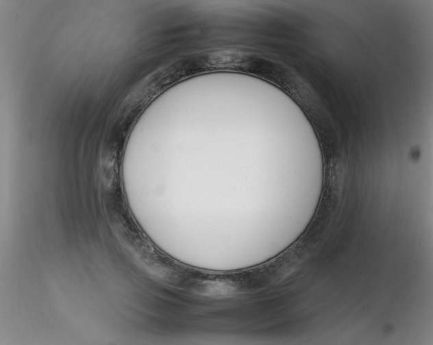 X0000116290741200912211840