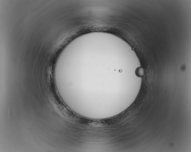 X0000116290742200912211840