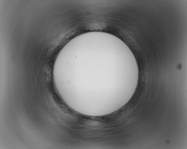 X0000116290743200912211840