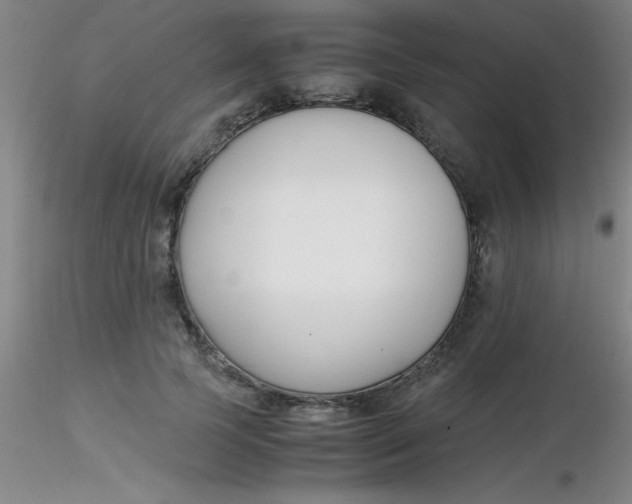 X0000116290745200912211840