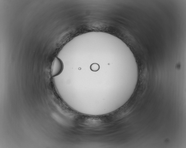 X0000116290749200912211840