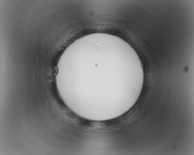 X0000116290750200912211840