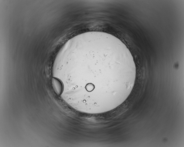 X0000116290755200912211840