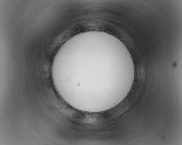 X0000116290757200912211840