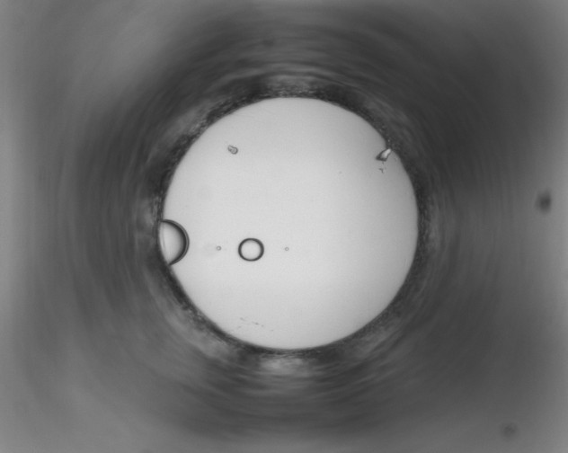 X0000116290759200912211840