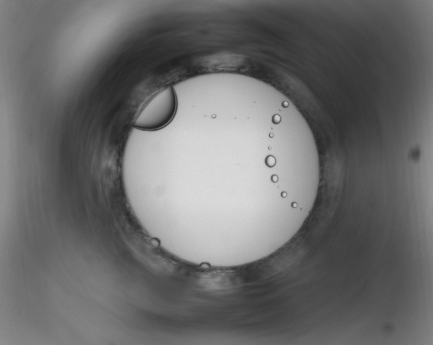 X0000116290761200912211840