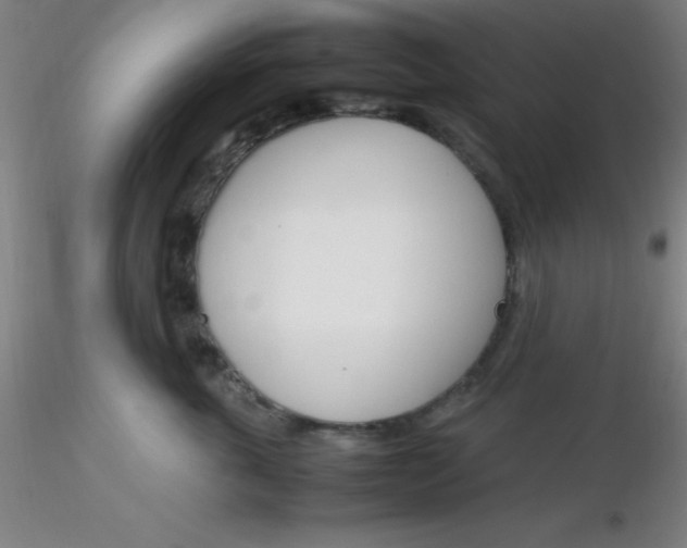 X0000116290763200912211840