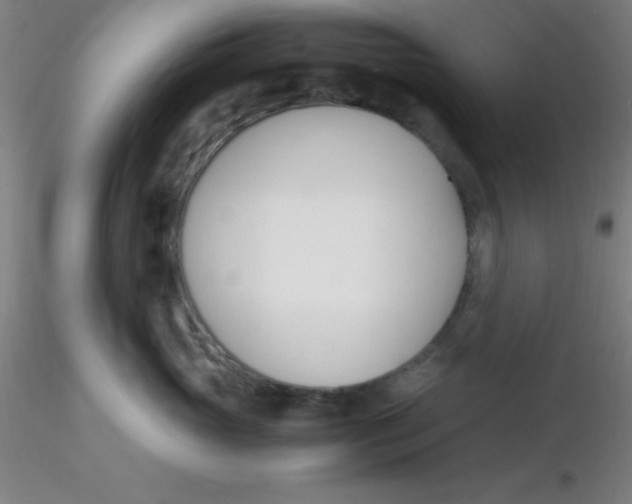 X0000116290765200912211840