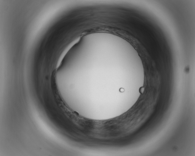 X0000116290766200912211840