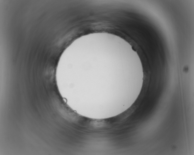 X0000116290767200912211840