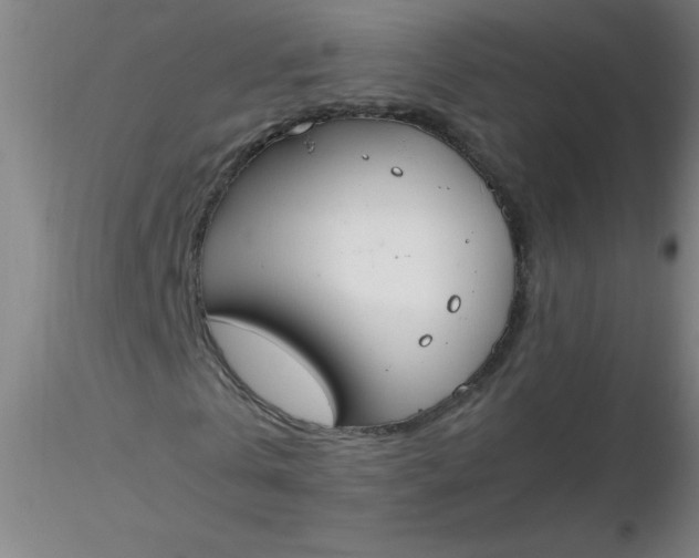 X0000116290769200912211840