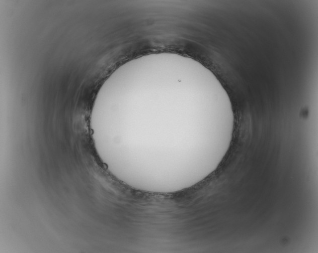 X0000116290770200912211840