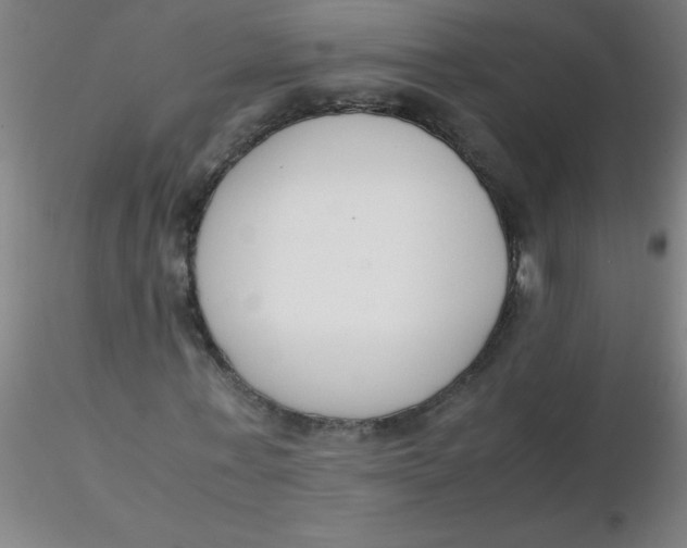 X0000116290771200912211840