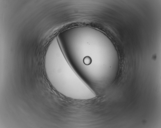 X0000116290773200912211840