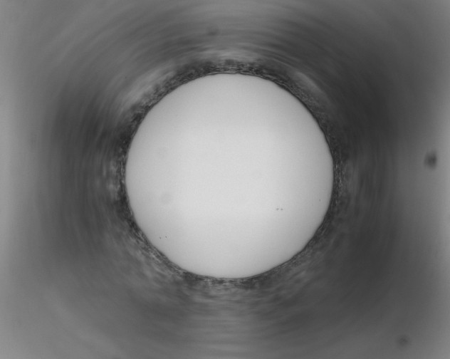 X0000116290774200912211840