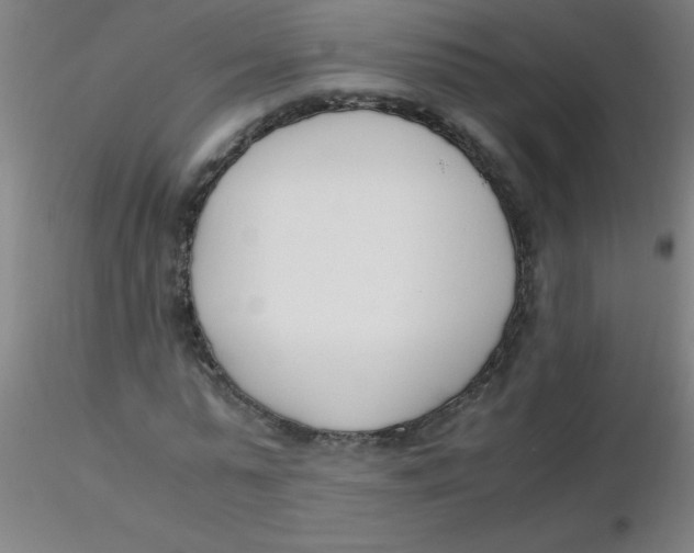 X0000116290775200912211840