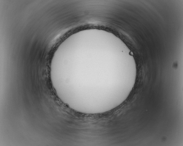 X0000116290776200912211840