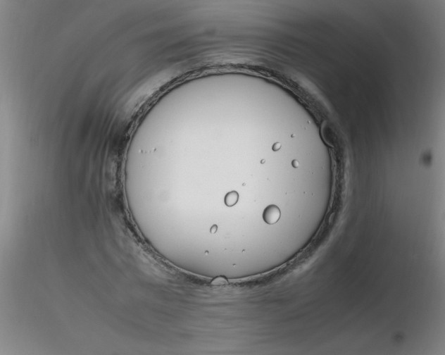 X0000116290777200912211840