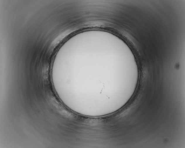 X0000116290778200912211840