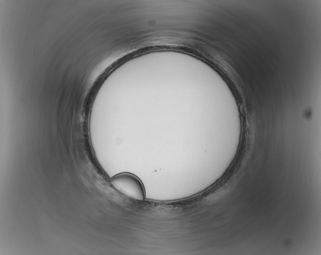 X0000116290779200912211840