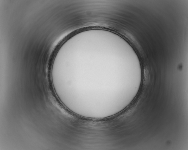 X0000116290780200912211840