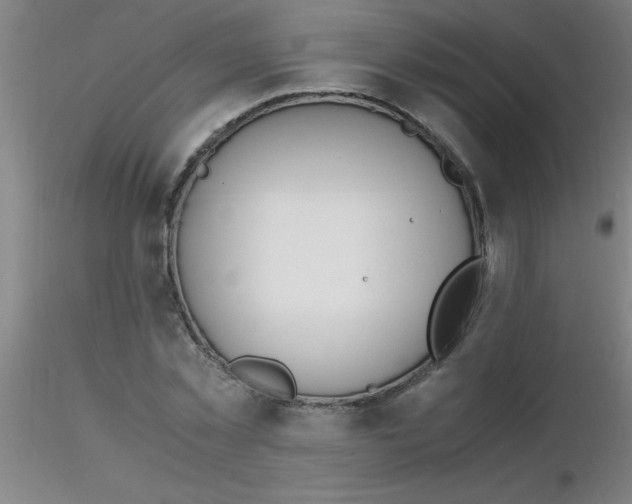 X0000116290781200912211840