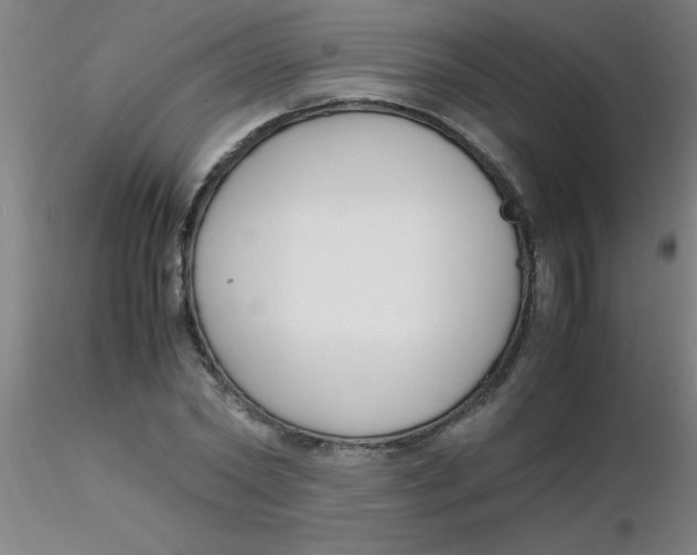 X0000116290782200912211840