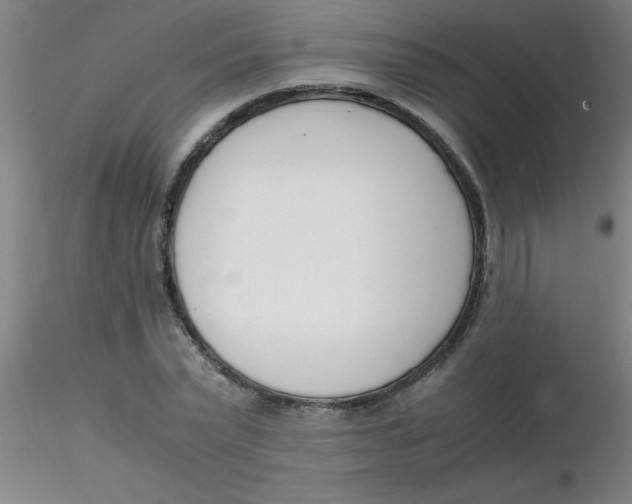 X0000116290783200912211840