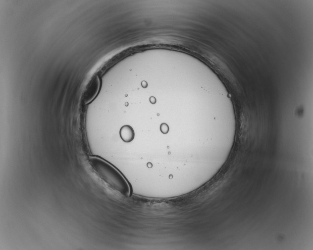 X0000116290784200912211839