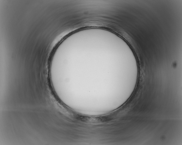 X0000116290787200912211839