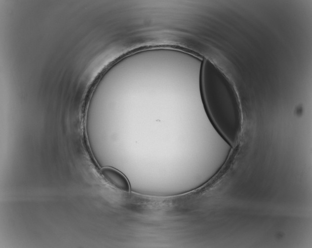 X0000116290789200912211839