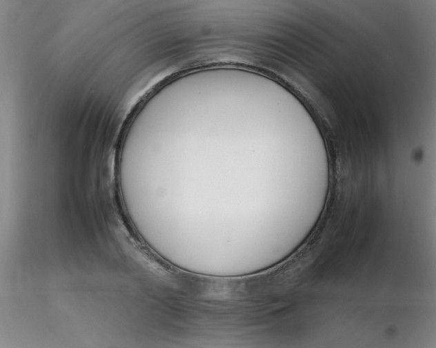 X0000116290790200912211839