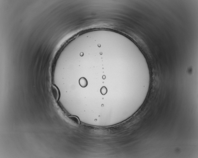 X0000116290792200912211839