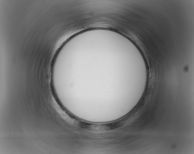 X0000116290795200912211839