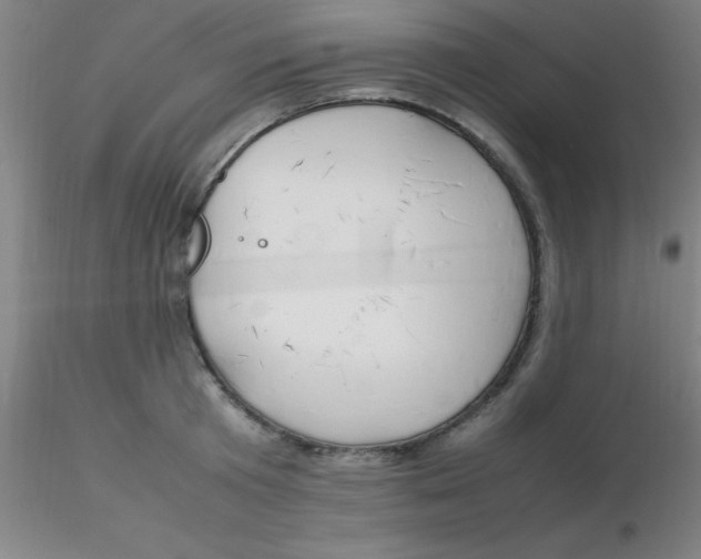 X0000116290801200912211839