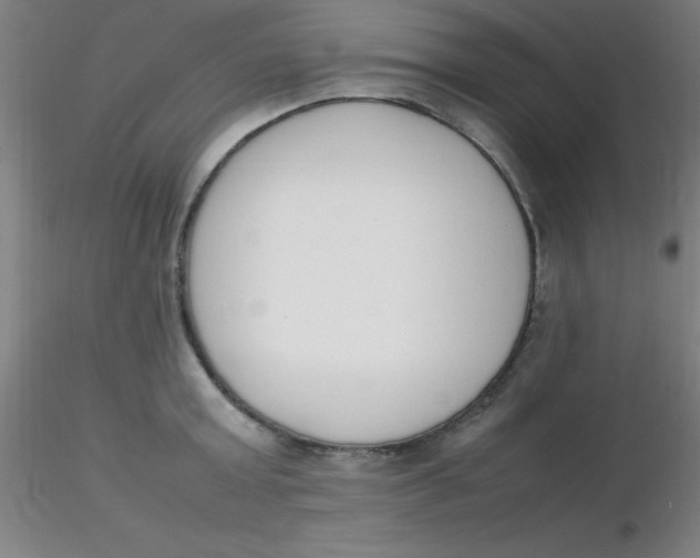 X0000116290803200912211839