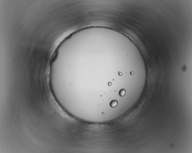 X0000116290804200912211839