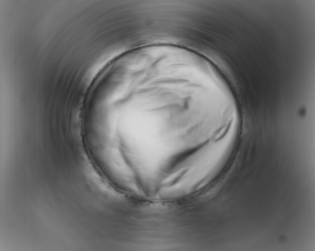 X0000116290806200912211839