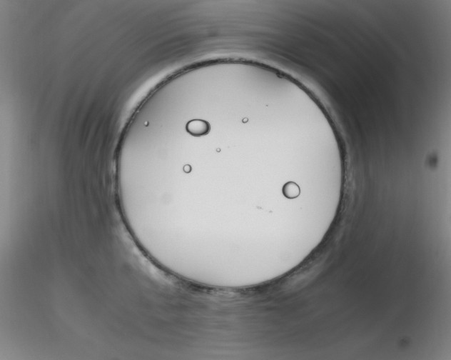 X0000116290807200912211839