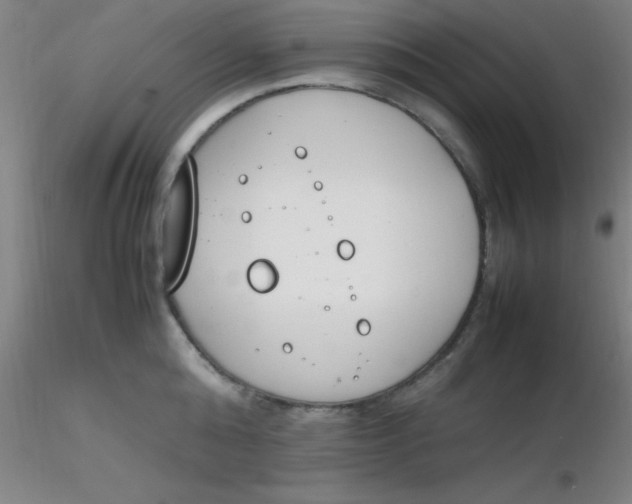 X0000116290808200912211839