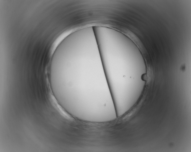 X0000116290812200912211839