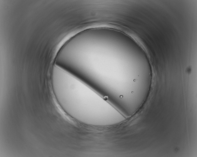 X0000116290813200912211839